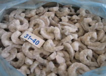 冷凍冰鮮品招商 攜手共贏，開啟海鮮財富新篇章